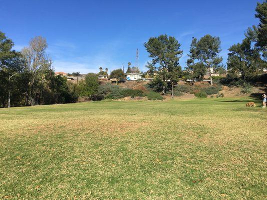 Spacious open grass area on a hill to walk your dog or have a picnic.