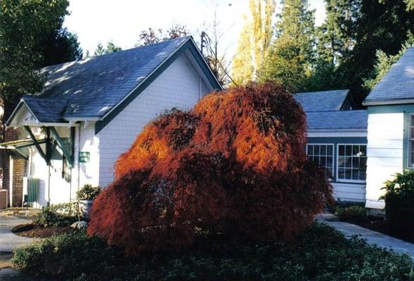 Creekside Cottage