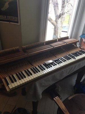 Action restoration on a Bechstein Model B