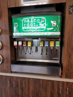 Maine root soda