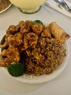 General Tso Combo