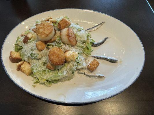 Caesar Salad with Scallops