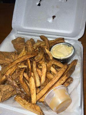 Chicken Wings and Fries