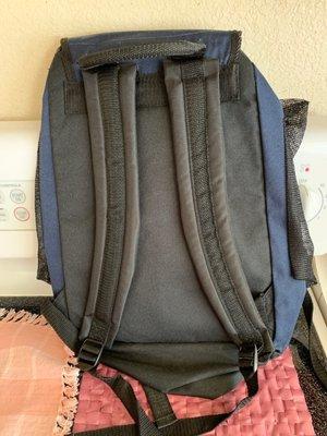 The back view of this BACKSAC.