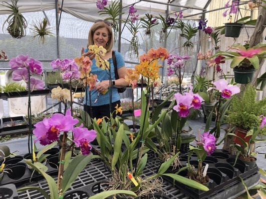 Showroom greenhouse beauties!