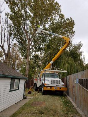 Taking down trees safely!! Very impressive!!