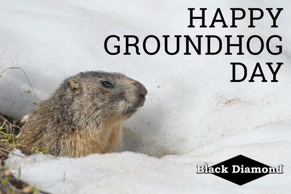 Happy Groundhog Day! Remember to call Black Diamond when you need critter control! We are a catch and release company! 317-890-2847