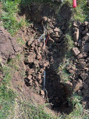 Mediacom cable in orange; damaged electrical wiring for sprinkler system (top/bottom).