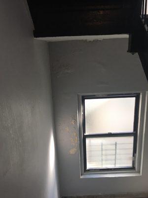 Mold on staircase