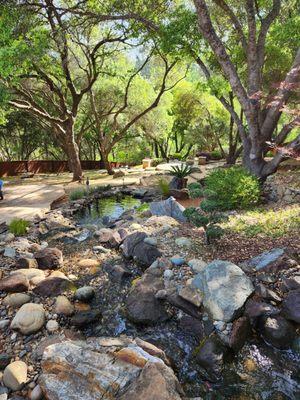 Here is a shot of the spillway heading into the pond.