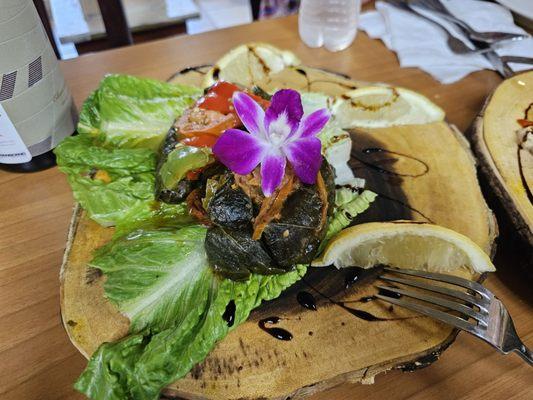 Stuffed Grape Leaves appetizer