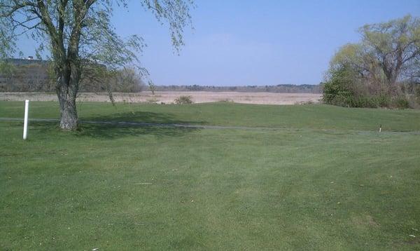 Many of the holes directly border the wetlands - that's the yellowish-hay area in the background you see here.