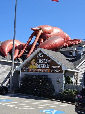 The subtle lobster on the roof of the restaurant