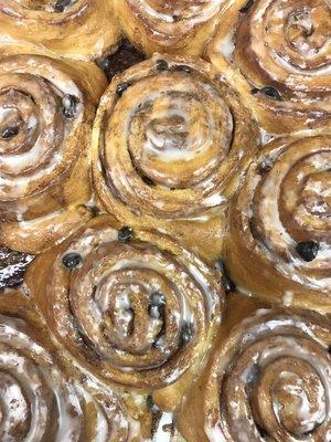 Cinnamon Rolls