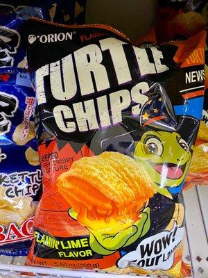 Korean Turtle Chips