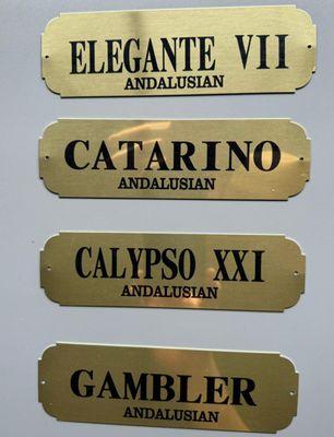 Customize your horse's stall with our classic metal  fancy nameplate. Any Size 2"x7" Email: SRDL9@YAHOO.COM