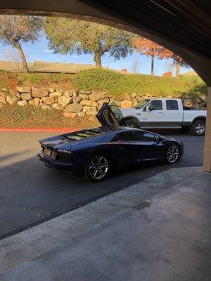 2015 Lamborghini, treated with tip top care!