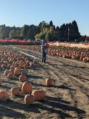 Sterino Farms