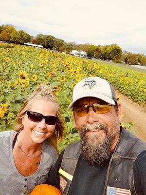 Pumpkin patch and sunflower field