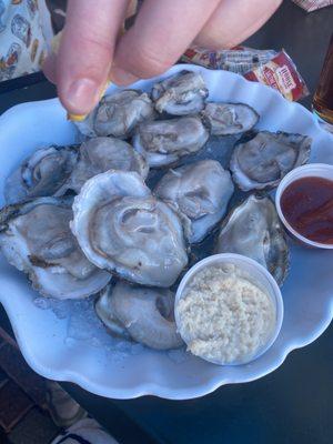 Oysters!!!