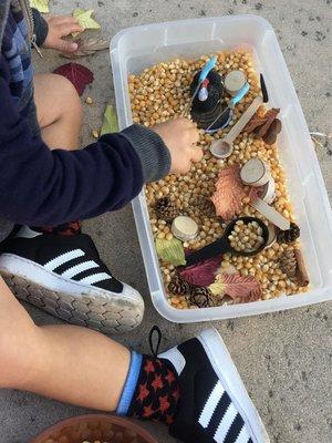 Themed sensory boxes.  Super fun and continuing to build fine motor skills!