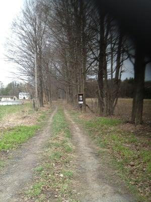 Start of Yellow Trail from trailhead