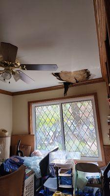 Roof water damage