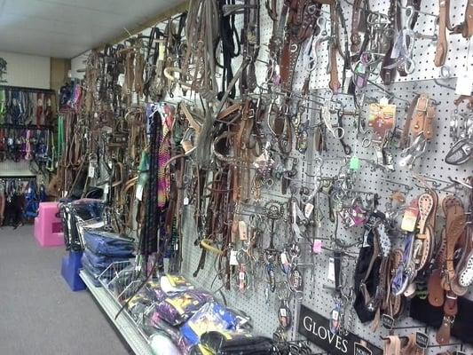 Large selection of Western horse tack. If we don't have it we will do our best to special order it for you!