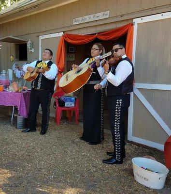 Even a mariachi band to sing and dance to