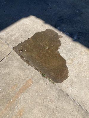 My oil leak, thanks Jiffy Lube!