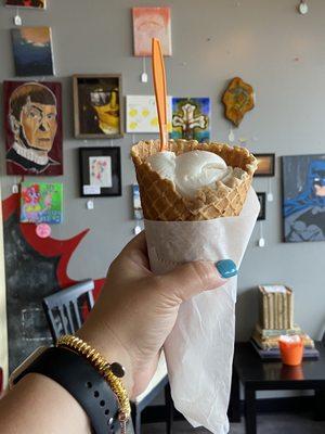 Vegan toasted coconut ice cream | The Revolution Ice Cream Co | Brandon FL