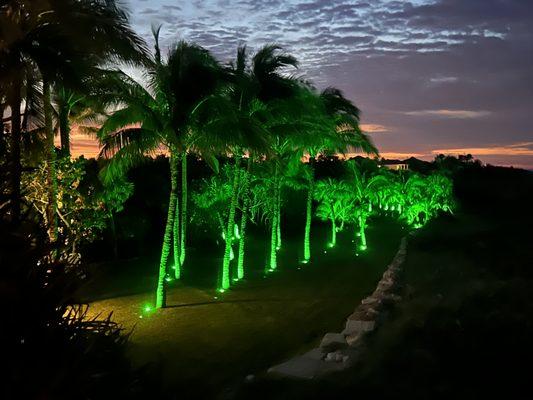 RGBW landscape lighting