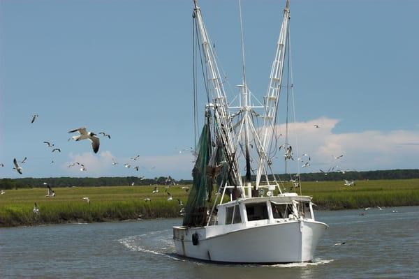 Shrimping, oysters, crabbing, fishing, boating - you name it !