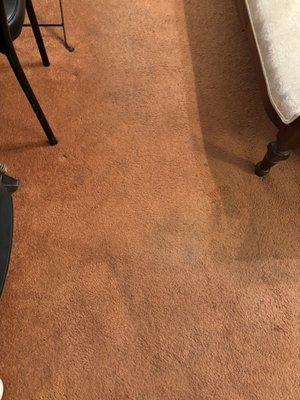 Stained rug in room