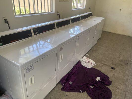 Laundry room always looks like this  Smells horrible always full of bums shooting up late night