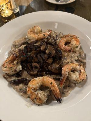 Wild Mushroom Risotto with grilled shrimp