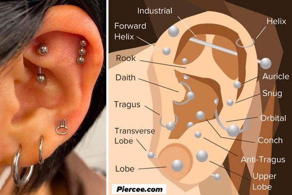 An outline of different piercings