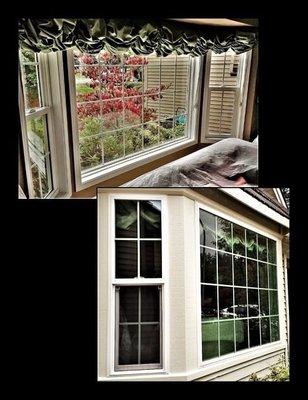 Vinyl picture window. See project here: https://www.pellabranch.com/seattle/projects/summer-project-in-sammamish/