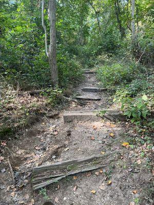 Trail (stairs) up to Jayne's Hill