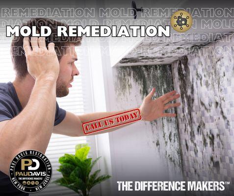 Make your home safe from mold with Paul Davis Restoration of Metro NYNJ!  Our experts are here to help you get rid of mold.