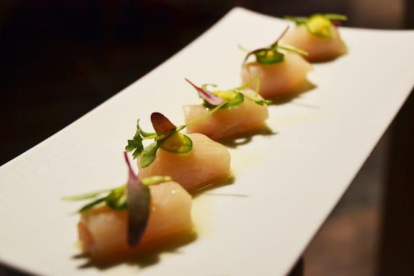 Yellowtail