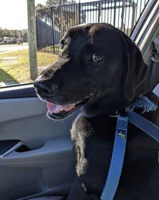 My dog actually gets excited to go get treats at this vet clinic!