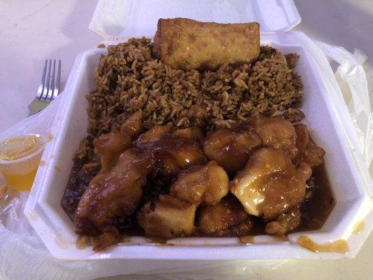 General Tso, large portions and white meat chicken.