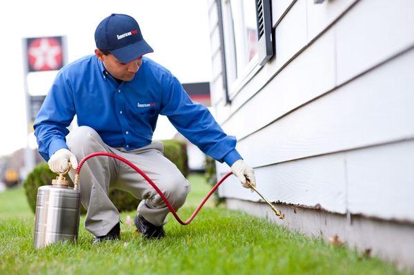 Exterior spray treatment is applied to the buildings foundation to protect you from crawling insect pests like ants, spiders, and more.