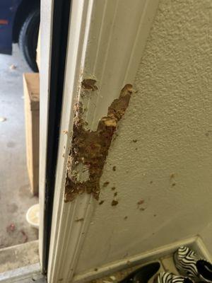 Before, dog damaged door frame