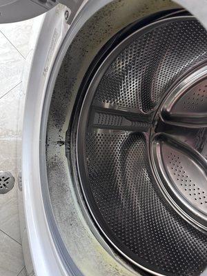 Molded washer