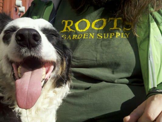 Happy plants, make happy dogs.