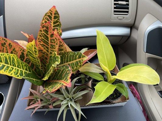 Plant Haul! @OakdaleGreenhouse