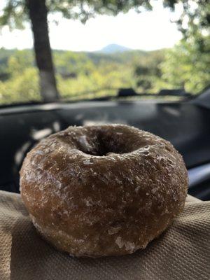 Apple Crisp cake donut