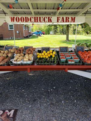 Fresh in season locally grown farm stand